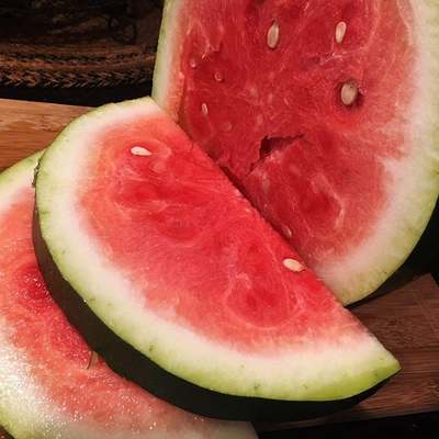 Bradford watermelon seed packet super sweet southern heirloom