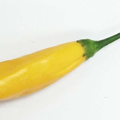 Aji cito pepper premium seed packet