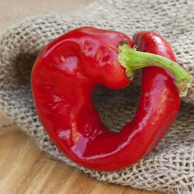 Dragons claw heirloom pepper premium seed packet