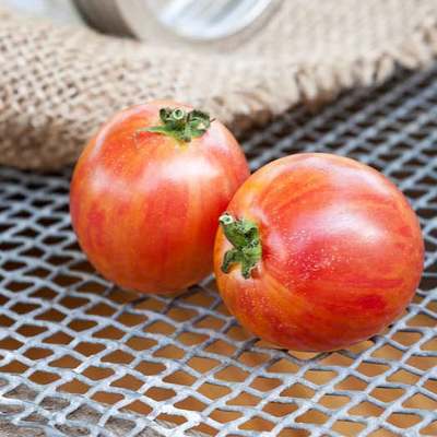 Pink bumblebee heirloom tomato premium seed packet