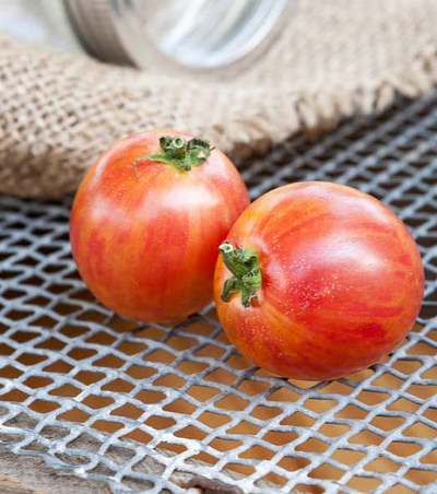 Pink Bumblebee Heirloom Tomato Premium Seed Packet