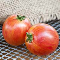 Pink Bumblebee Heirloom Tomato Premium Seed Packet - Thumbnail 1
