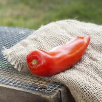 Opalka Sauce Heirloom Tomato Premium Seed Packet - Thumbnail 1