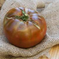 Chocolate Cherokee Heirloom Tomato Premium Seed Packet a Chefs Favorite - Thumbnail 2