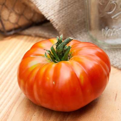 Pantano romanesco heirloom tomato premium seed packet