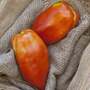 San Marzano Redorta Heirloom Tomato Premium Seed Packet-1
