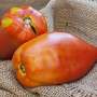 San Marzano Redorta Heirloom Tomato Premium Seed Packet-2