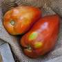 San Marzano Redorta Heirloom Tomato Premium Seed Packet-3