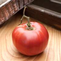 Purple Cherokee Heirloom Tomato Premium Seed Packet - Thumbnail 1