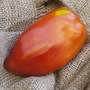 San Marzano Redorta Heirloom Tomato Premium Seed Packet-4
