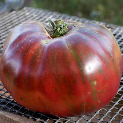 Pink berkeley tye dye heirloom tomato premium seed packet