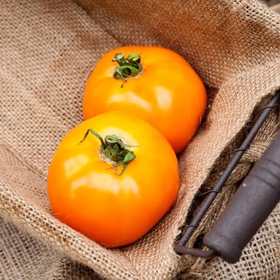 Pegs round orange heirloom tomato premium seed packet