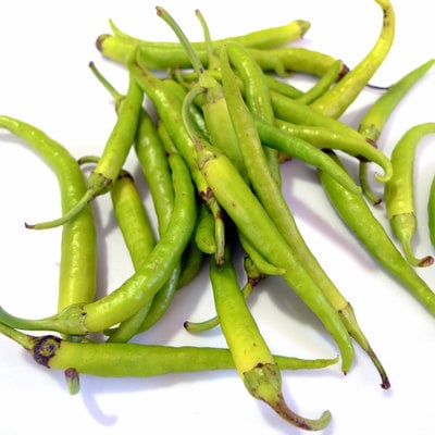 Guindilla pepper heirloom the famous basque region pepper premium seed packet