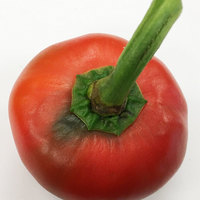 Nora Basque Heirloom Pepper Premium Seed Packet + More - Thumbnail 1