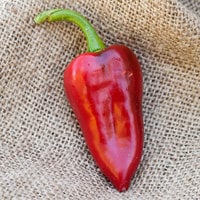 Piquillo Spanish Little Beak Tapas Heirloom Pepper Premium Seed Packet - Thumbnail 1