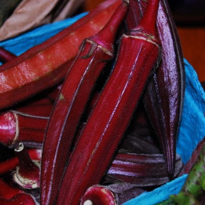 Red burgundy okra gumbo premium seed packet