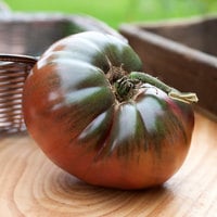 Carbon Black Heirloom Tomato Premium Seed Packet - Thumbnail 2