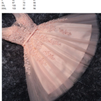 Knee Length Lace Beaded Tulle Dresses - Thumbnail 4