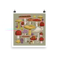 Mushroom Patch Print  - Thumbnail 1