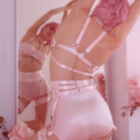 Fentai Garter Belt ( Pink + Silver ) - Thumbnail 4