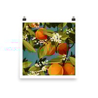 Oranges Print - Thumbnail 1