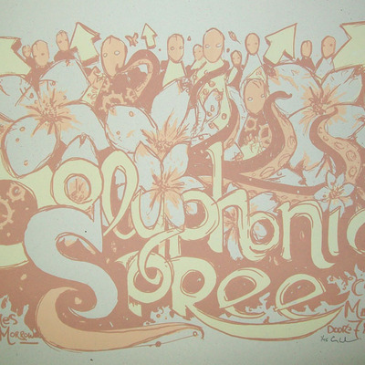 Polyphonic spree, carrboro, nc 2012