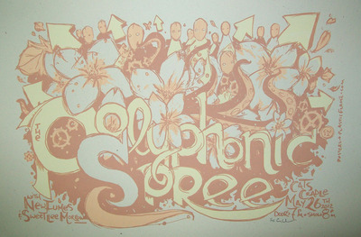 Polyphonic Spree, Carrboro, NC 2012
