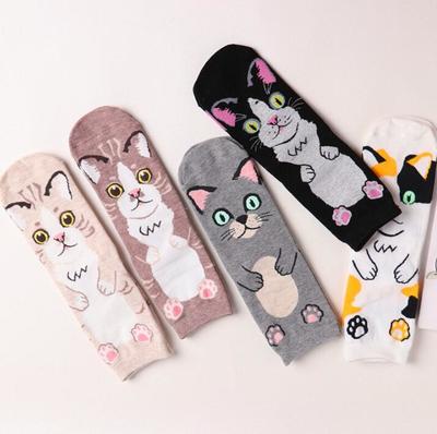 5 Pairs/Set Cute Cat Crew Socks