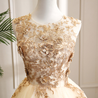 Champagne tulle lace long prom gown formal dress - Thumbnail 1