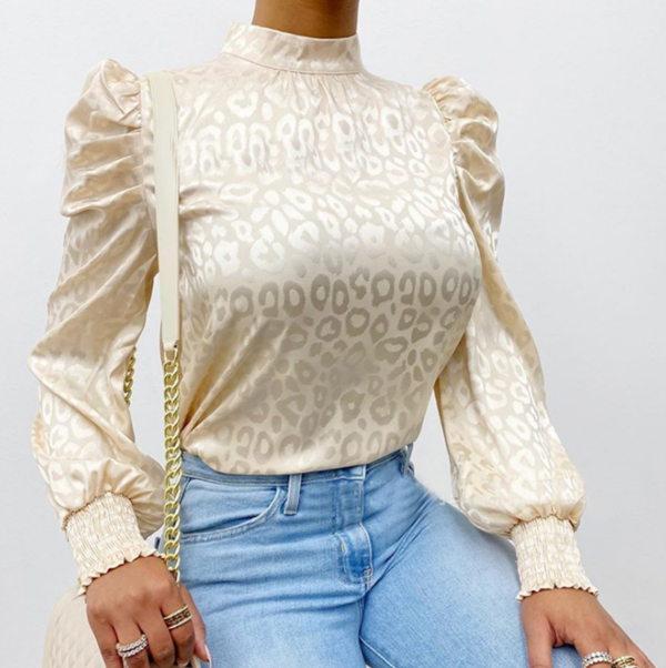 Long Sleeve Chiffon Bat Sleeve Shirt Tops