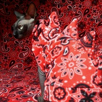 Gargoyles - Trippie Redd - Thumbnail 1