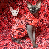 Gargoyles - Trippie Redd - Thumbnail 2