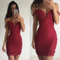 Design V-Neck Sexy Lace Dress - Thumbnail 2
