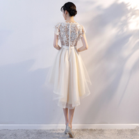 Champagne tulle lace short prom dress - Thumbnail 3