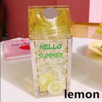 Kawaii Straw Fashion Ice Fruit Water Bottle - Thumbnail 1