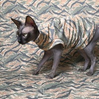 You Really, Really Can't See Me - Thumbnail 1