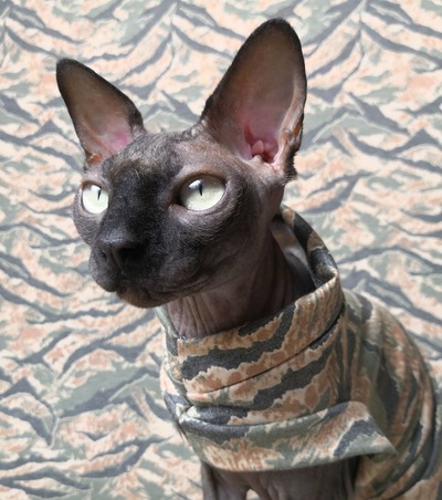 You Really, Really Can't See Me