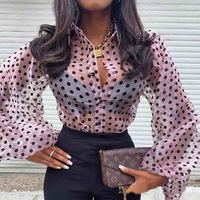 Chiffon Women'S Long Sleeve Top - Thumbnail 1