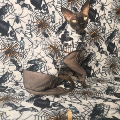 What a tangled web we weave