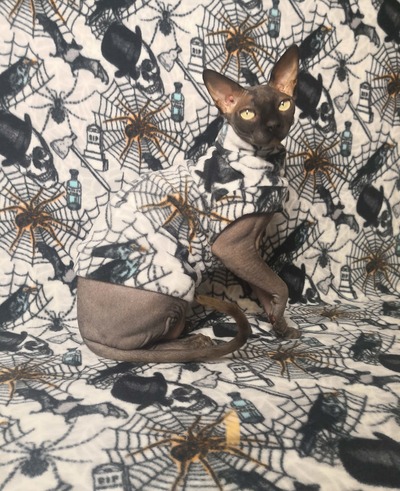 What a Tangled Web We Weave