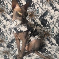 What a Tangled Web We Weave - Thumbnail 3