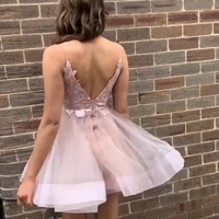 Cute V Neck Spaghetti Straps Blush Pink Lace Hoco Dress, Fashion Homecoming Dress - Thumbnail 1