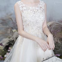 Champagne tulle lace high low prom dress party dress - Thumbnail 4