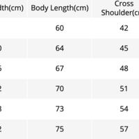 Free Shipping-"PROMISES" HOODIE - Thumbnail 5