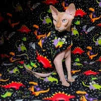 Happy Dino-ween! - Thumbnail 1