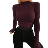Sexy Long Sleeve High Neck Slim Top - Thumbnail 1