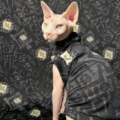 Harrypotter marauder's map