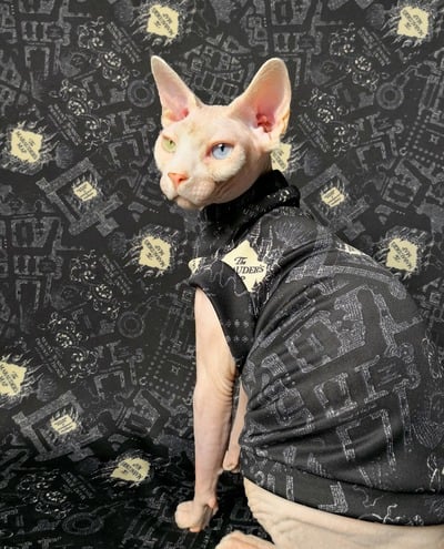 HarryPotter Marauder's Map