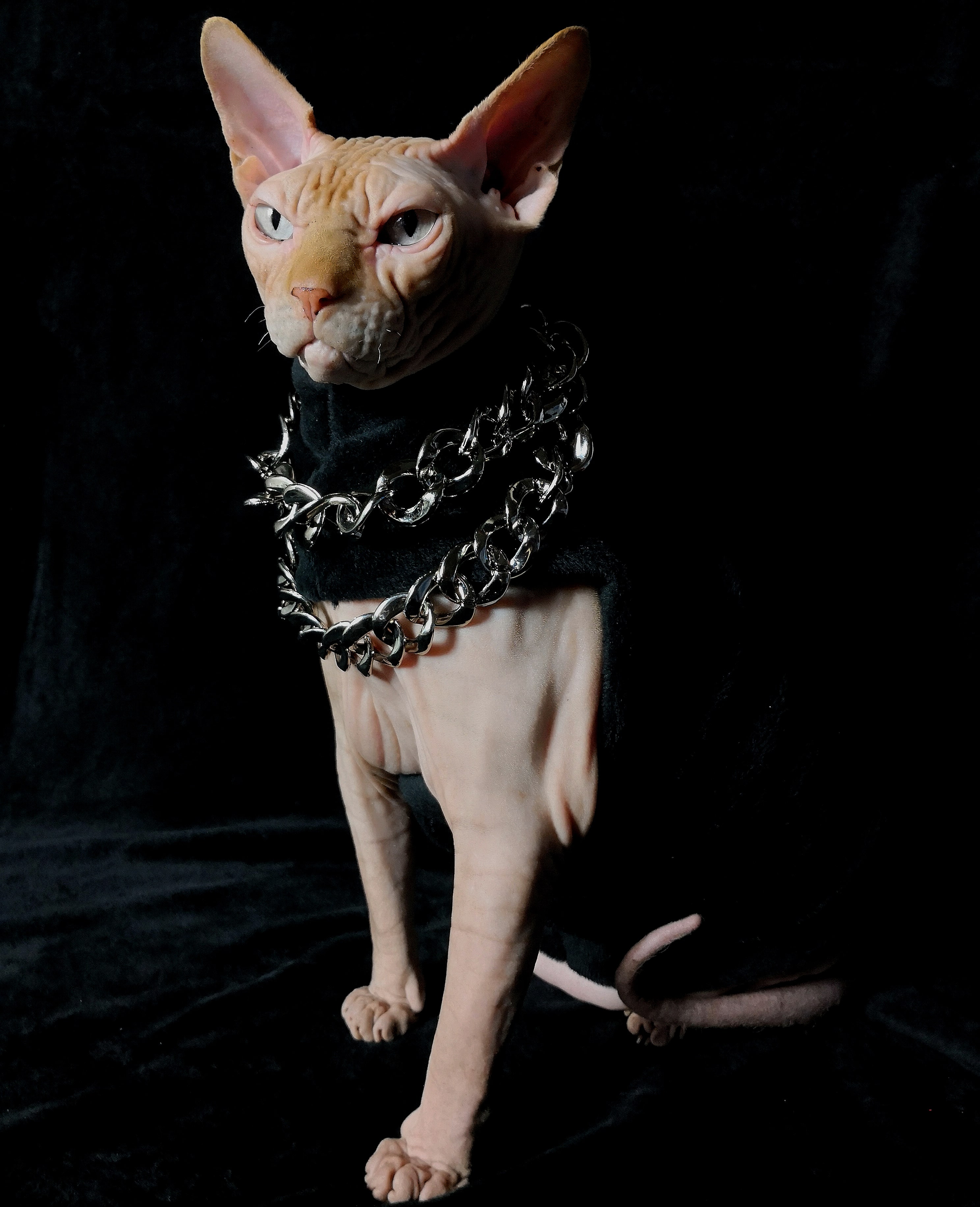 One or 2 Chainz · Sphynx Swag · Online Store Powered by Storenvy