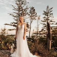 Elegant V-Neck Backless Appliques Tulle A-line Wedding Dresses - Thumbnail 1